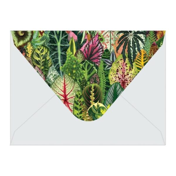 Stationery | Troy Litten Houseplant Jungle Greeting Assortment Notecards Home Decoration Stationery