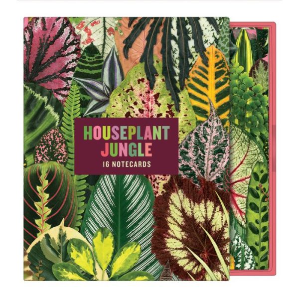 Stationery | Troy Litten Houseplant Jungle Greeting Assortment Notecards Home Decoration Stationery