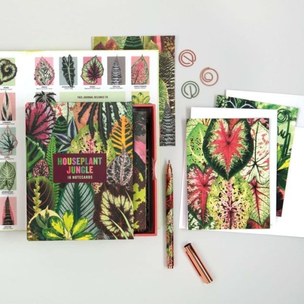 Stationery | Troy Litten Houseplant Jungle Greeting Assortment Notecards Home Decoration Stationery