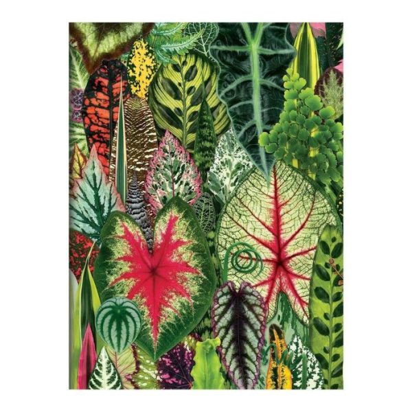 Stationery | Troy Litten Houseplant Jungle Greeting Assortment Notecards Home Decoration Stationery