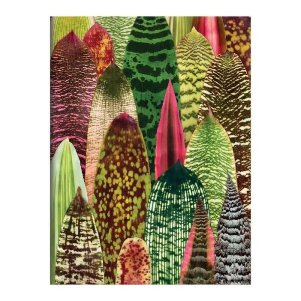 Stationery | Troy Litten Houseplant Jungle Greeting Assortment Notecards Home Decoration Stationery