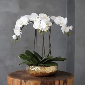 Vases & Jars | 3 Stems White Phalaenopsis Arrangement In Golden Ceramic Pot Decor Flora & Plants