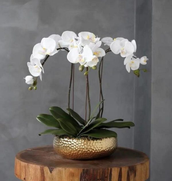 Vases & Jars | 3 Stems White Phalaenopsis Arrangement In Golden Ceramic Pot Decor Flora & Plants