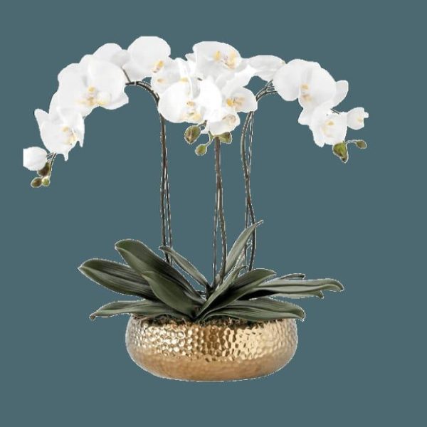 Vases & Jars | 3 Stems White Phalaenopsis Arrangement In Golden Ceramic Pot Decor Flora & Plants