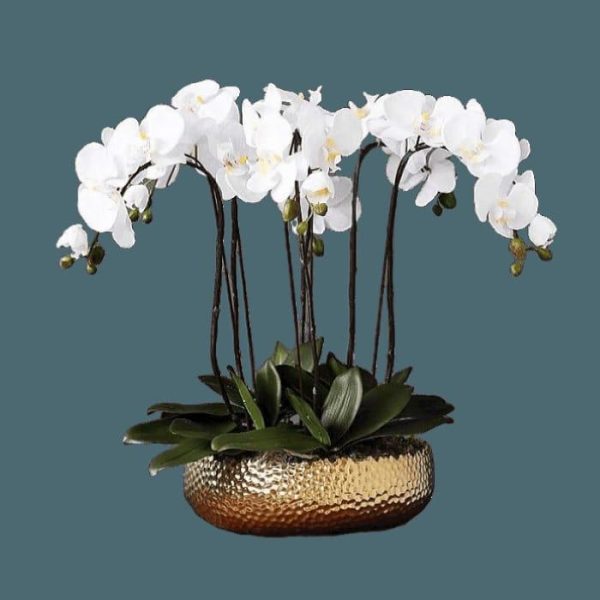 Vases & Jars | 6 Stems White Phalaenopsis Arrangement In Golden Pot Decor Flora & Plants