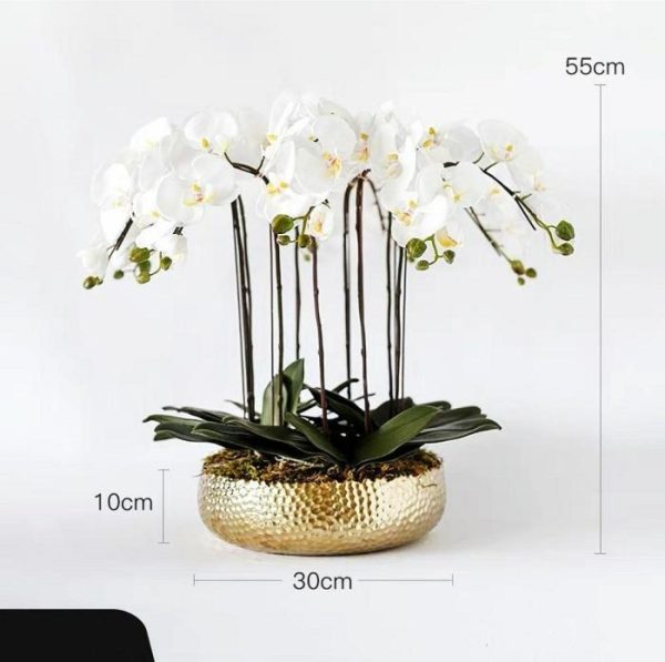 Vases & Jars | 6 Stems White Phalaenopsis Arrangement In Golden Pot Decor Flora & Plants