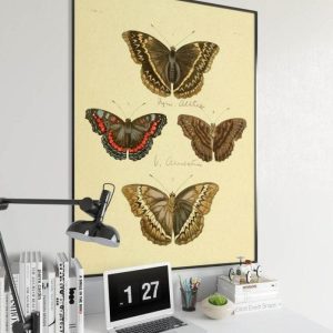 Vintage Wall Art | Butterfly Poster Print, Vintage Science Print, 12×20 inches Vintage Wall Art Vintage Wall Art