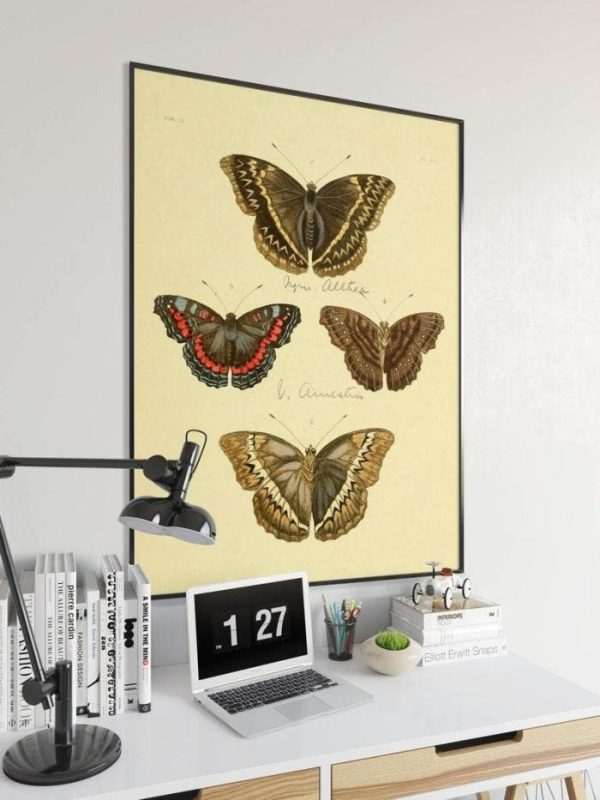 Vintage Wall Art | Butterfly Poster Print, Vintage Science Print, 12×20 inches Vintage Wall Art Vintage Wall Art