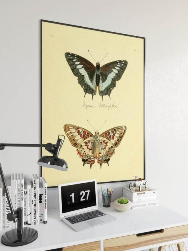 Vintage Wall Art | Butterfly Poster Print, Vintage Science Print, 16×28 inches Vintage Wall Art Vintage Wall Art