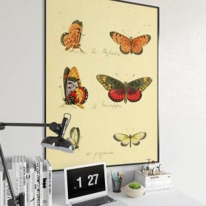 Vintage Wall Art | Butterfly Poster Print, Vintage Science Print, 20×30 inches Vintage Wall Art Vintage Wall Art