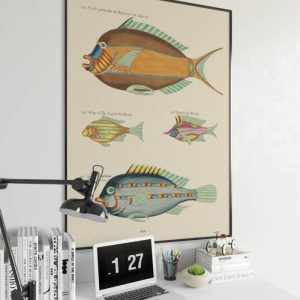 Vintage Wall Art | Fishes Poster Print, Sea Life Art, 14×20 inches Vintage Wall Art Vintage Wall Art