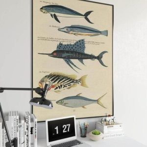 Vintage Wall Art | Fishes Poster Print, Sea Life Art, 20×30 inches Vintage Wall Art Vintage Wall Art