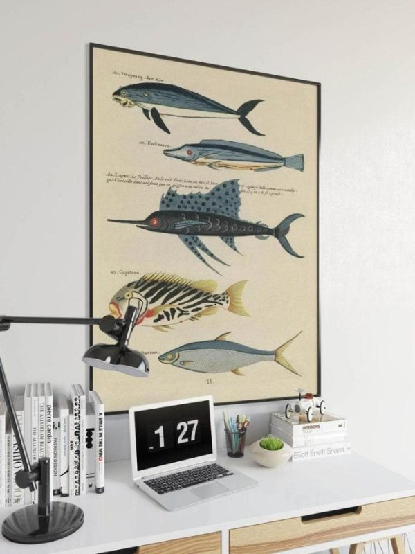 Vintage Wall Art | Fishes Poster Print, Sea Life Art, 20×30 inches Vintage Wall Art Vintage Wall Art