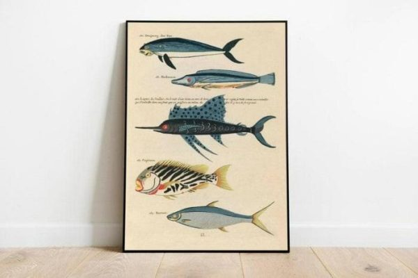 Vintage Wall Art | Fishes Poster Print, Sea Life Art, 20×30 inches Vintage Wall Art Vintage Wall Art