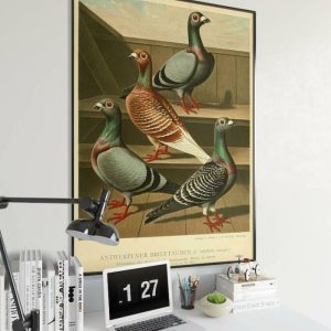 Vintage Wall Art | Pigeons Poster Print, Birds Poster, 20×28 inches Vintage Wall Art Vintage Wall Art