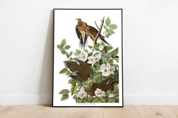 Vintage Wall Art | Vintage Bird Art Print, Bird Poster, 16×22 inches Vintage Wall Art Vintage Wall Art