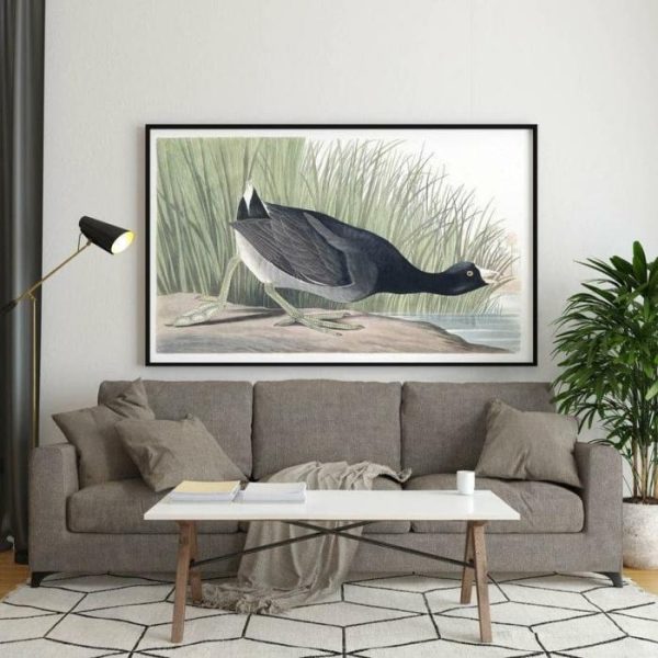 Vintage Wall Art | Vintage Bird Art Prints, Bird Poster, 12×16 inches Vintage Wall Art Vintage Wall Art