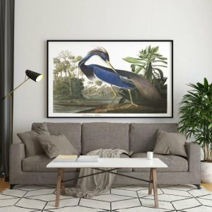 Vintage Wall Art | Vintage Bird Art Prints, Bird Poster, 12×16 inches Vintage Wall Art Vintage Wall Art