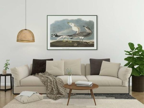 Vintage Wall Art | Vintage Bird Art Prints, Bird Poster, 12×16 inches Vintage Wall Art Vintage Wall Art