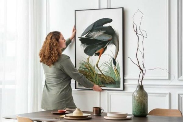 Vintage Wall Art | Vintage Bird Art Prints, Bird Poster, 12×16 inches Vintage Wall Art Vintage Wall Art