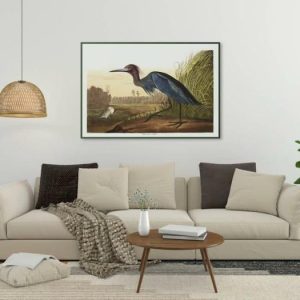 Vintage Wall Art | Vintage Bird Art Prints, Bird Poster, 12×16 inches Vintage Wall Art Vintage Wall Art