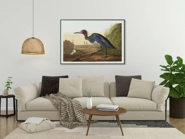 Vintage Wall Art | Vintage Bird Art Prints, Bird Poster, 12×16 inches Vintage Wall Art Vintage Wall Art