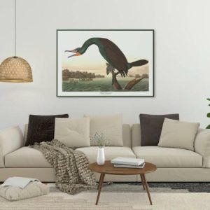 Vintage Wall Art | Vintage Bird Art Prints, Bird Poster, 12×16 inches Vintage Wall Art Vintage Wall Art