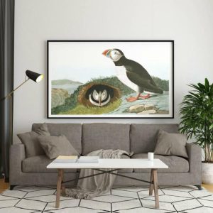 Vintage Wall Art | Vintage Bird Art Prints, Bird Poster, 12×16 inches Vintage Wall Art Vintage Wall Art