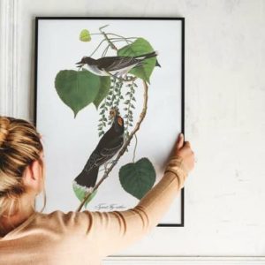 Vintage Wall Art | Vintage Bird Art Prints, Bird Poster, 12×16 inches Vintage Wall Art Vintage Wall Art