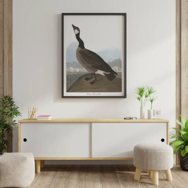 Vintage Wall Art | Vintage Bird Art Prints, Bird Poster, 12×16 inches Vintage Wall Art Vintage Wall Art