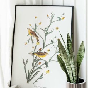 Vintage Wall Art | Vintage Bird Art Prints, Bird Poster, 12×16 inches Vintage Wall Art Vintage Wall Art