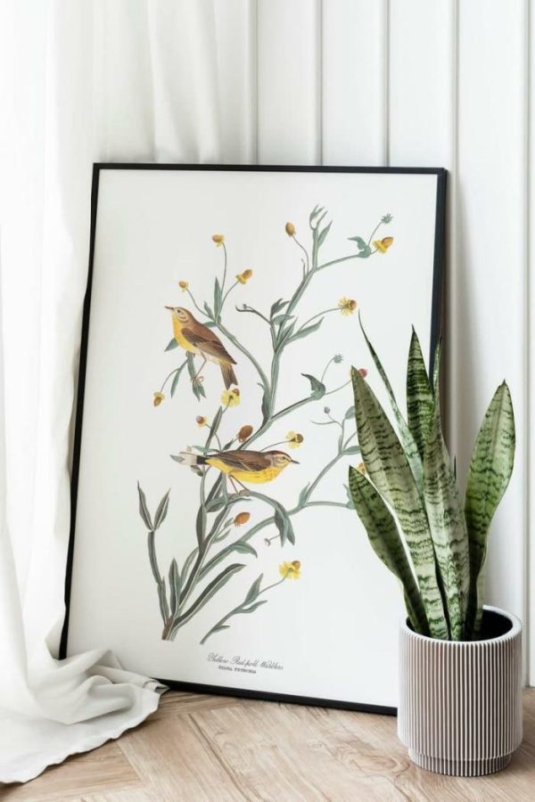 Vintage Wall Art | Vintage Bird Art Prints, Bird Poster, 12×16 inches Vintage Wall Art Vintage Wall Art