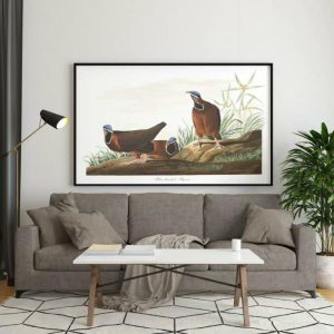 Vintage Wall Art | Vintage Bird Art Prints, Bird Poster, 12×16 inches Vintage Wall Art Vintage Wall Art