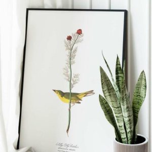 Vintage Wall Art | Vintage Bird Art Prints, Bird Poster, 12×16 inches Vintage Wall Art Vintage Wall Art