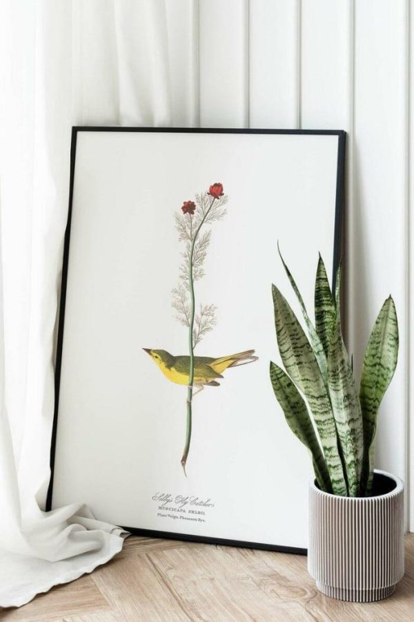 Vintage Wall Art | Vintage Bird Art Prints, Bird Poster, 12×16 inches Vintage Wall Art Vintage Wall Art