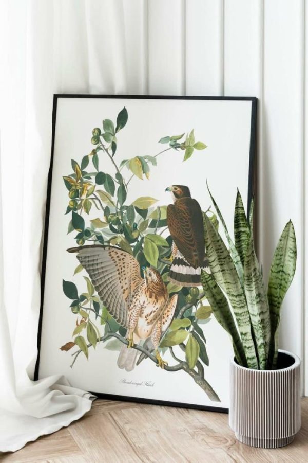 Vintage Wall Art | Vintage Bird Art Prints, Bird Poster, 12×16 inches Vintage Wall Art Vintage Wall Art