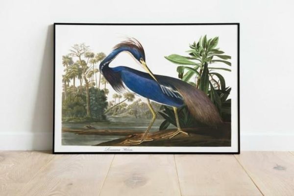 Vintage Wall Art | Vintage Bird Art Prints, Bird Poster, 12×16 inches Vintage Wall Art Vintage Wall Art