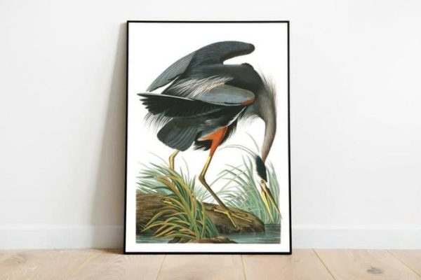 Vintage Wall Art | Vintage Bird Art Prints, Bird Poster, 12×16 inches Vintage Wall Art Vintage Wall Art