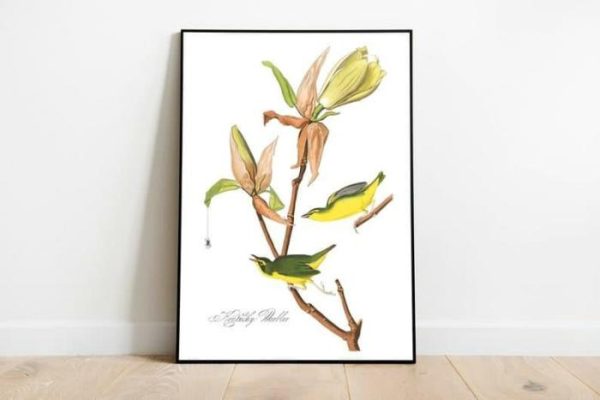 Vintage Wall Art | Vintage Bird Art Prints, Bird Poster, 12×16 inches Vintage Wall Art Vintage Wall Art