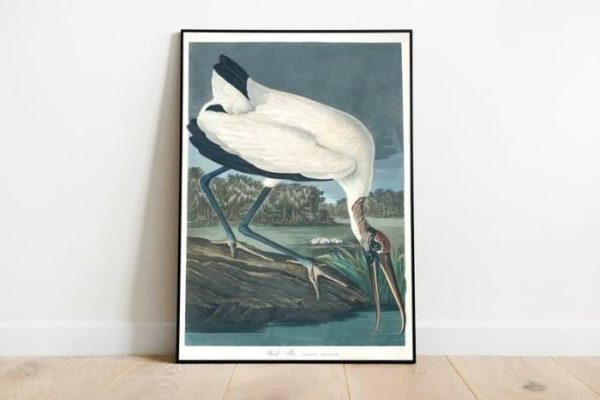 Vintage Wall Art | Vintage Bird Art Prints, Bird Poster, 12×16 inches Vintage Wall Art Vintage Wall Art