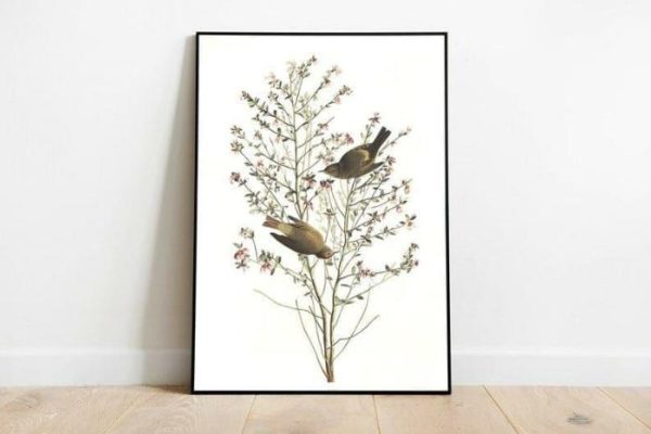 Vintage Wall Art | Vintage Bird Art Prints, Bird Poster, 12×16 inches Vintage Wall Art Vintage Wall Art