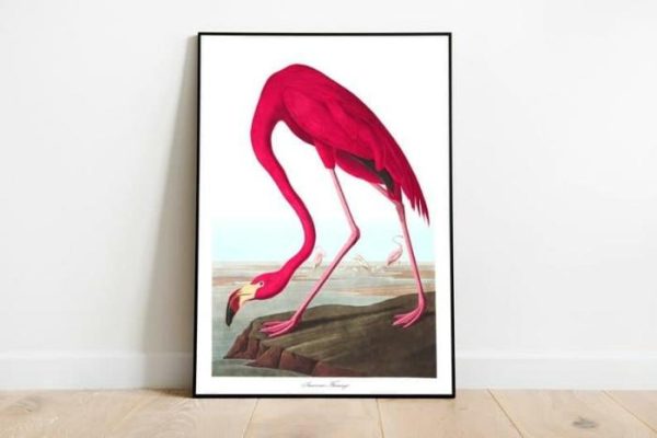 Vintage Wall Art | Vintage Bird Art Prints, Bird Poster, 12×16 inches Vintage Wall Art Vintage Wall Art