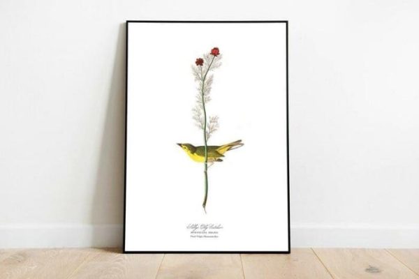 Vintage Wall Art | Vintage Bird Art Prints, Bird Poster, 12×16 inches Vintage Wall Art Vintage Wall Art