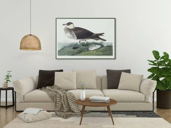 Vintage Wall Art | Vintage Bird Art Prints, Bird Poster, 16×22 inches Vintage Wall Art Vintage Wall Art