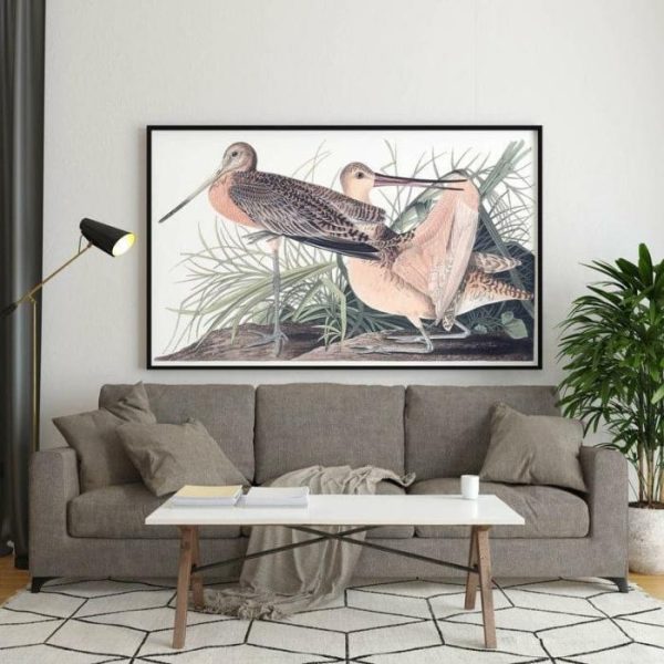 Vintage Wall Art | Vintage Bird Art Prints, Bird Poster, 16×22 inches Vintage Wall Art Vintage Wall Art