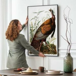 Vintage Wall Art | Vintage Bird Art Prints, Bird Poster, 16×22 inches Vintage Wall Art Vintage Wall Art