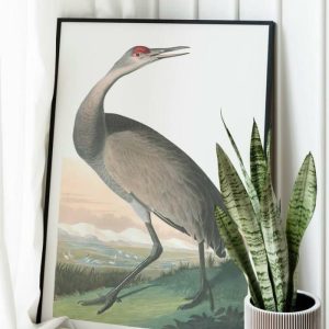 Vintage Wall Art | Vintage Bird Art Prints, Bird Poster, 16×22 inches Vintage Wall Art Vintage Wall Art