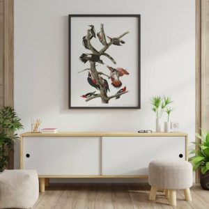 Vintage Wall Art | Vintage Bird Art Prints, Bird Poster, 16×22 inches Vintage Wall Art Vintage Wall Art