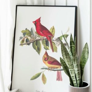 Vintage Wall Art | Vintage Bird Art Prints, Bird Poster, 16×22 inches Vintage Wall Art Vintage Wall Art