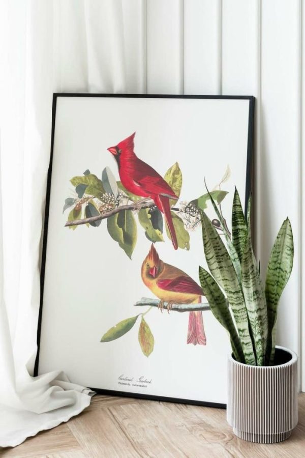 Vintage Wall Art | Vintage Bird Art Prints, Bird Poster, 16×22 inches Vintage Wall Art Vintage Wall Art